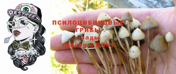 герыч Балахна