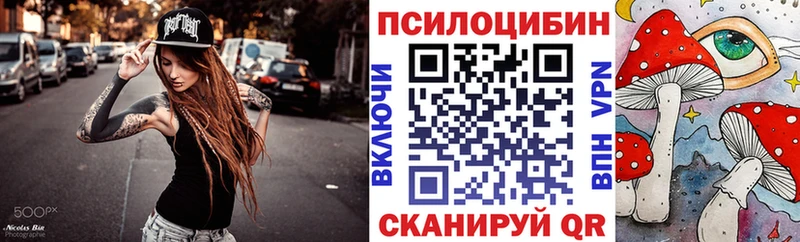 магазин продажи наркотиков  Буй  Псилоцибиновые грибы мицелий 